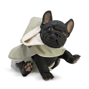 NONO EL BULL DOG CON CHUBASQUERO VERDE