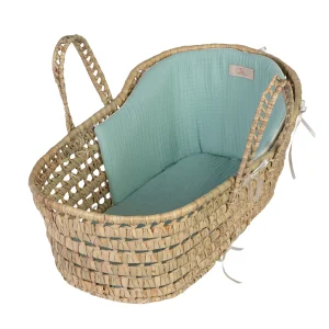 CAPAZO GRANDE HOJA PALMA MUSA VERDE